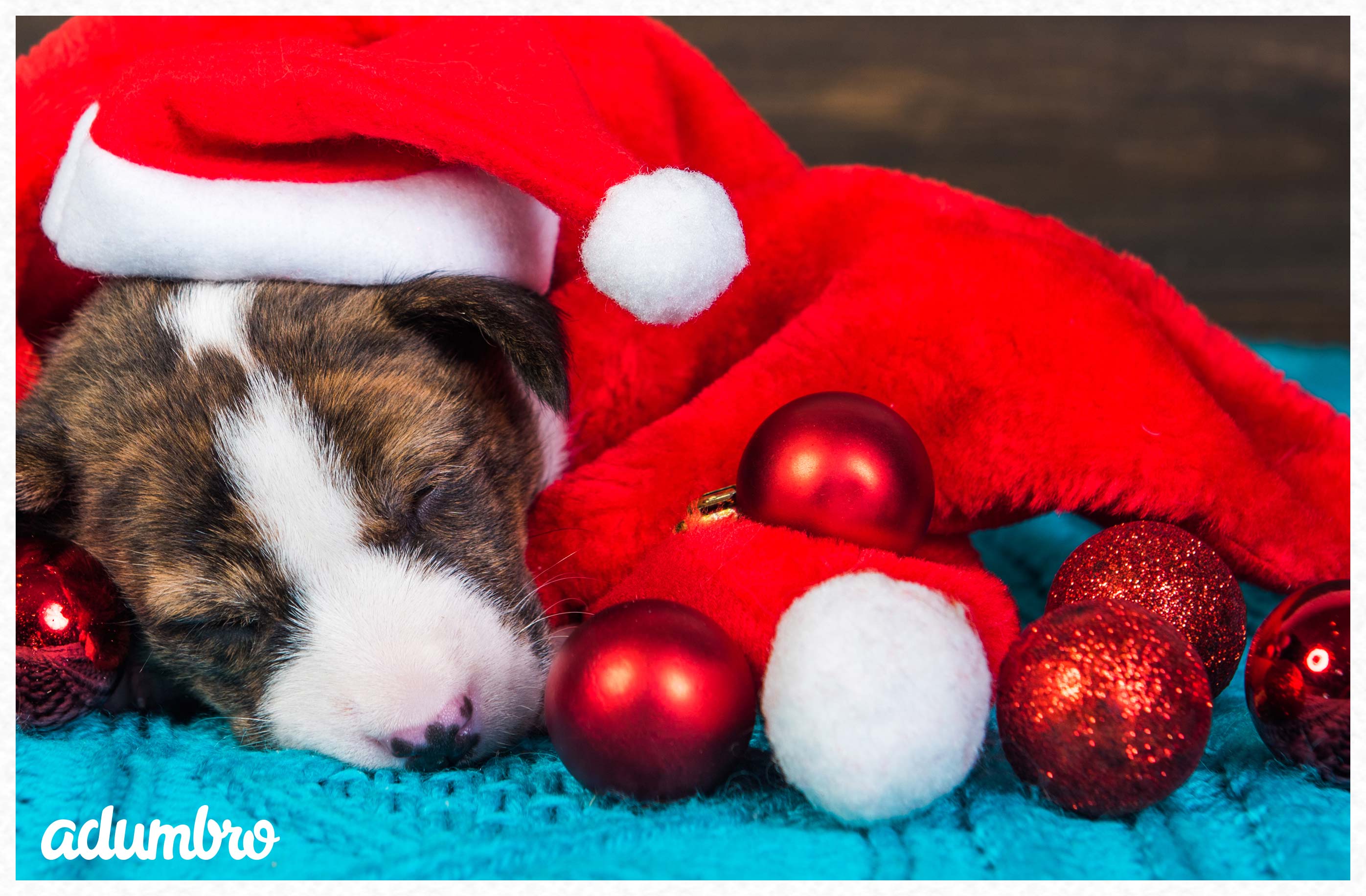 Felicitación de Navidad