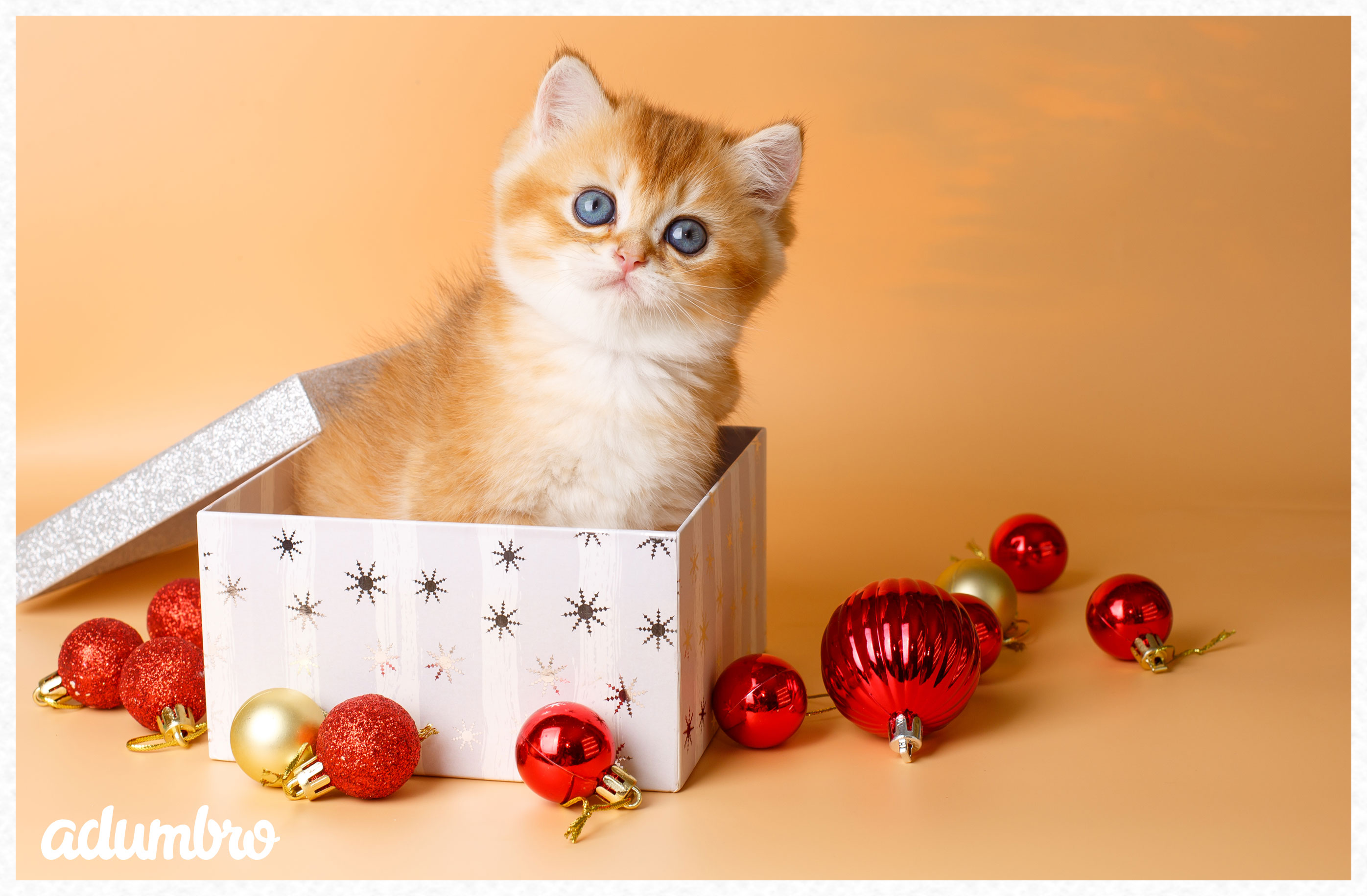 Felicitación de Navidad