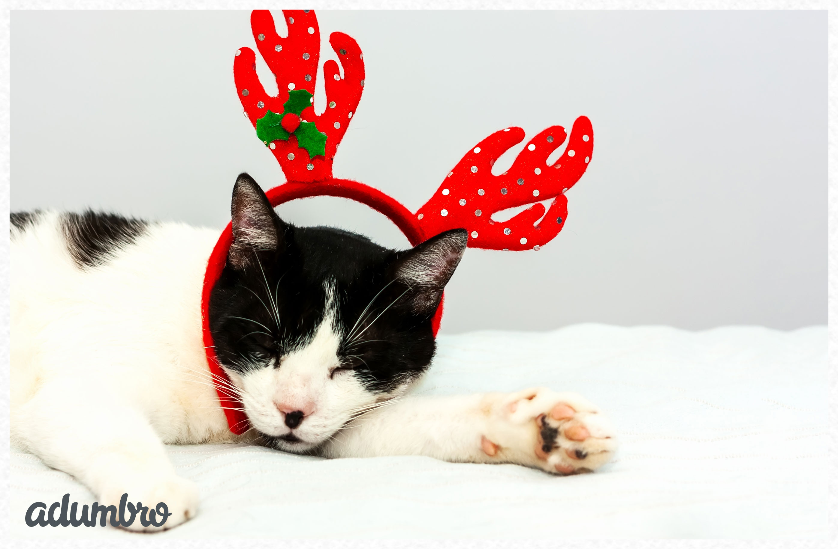 Felicitación de Navidad