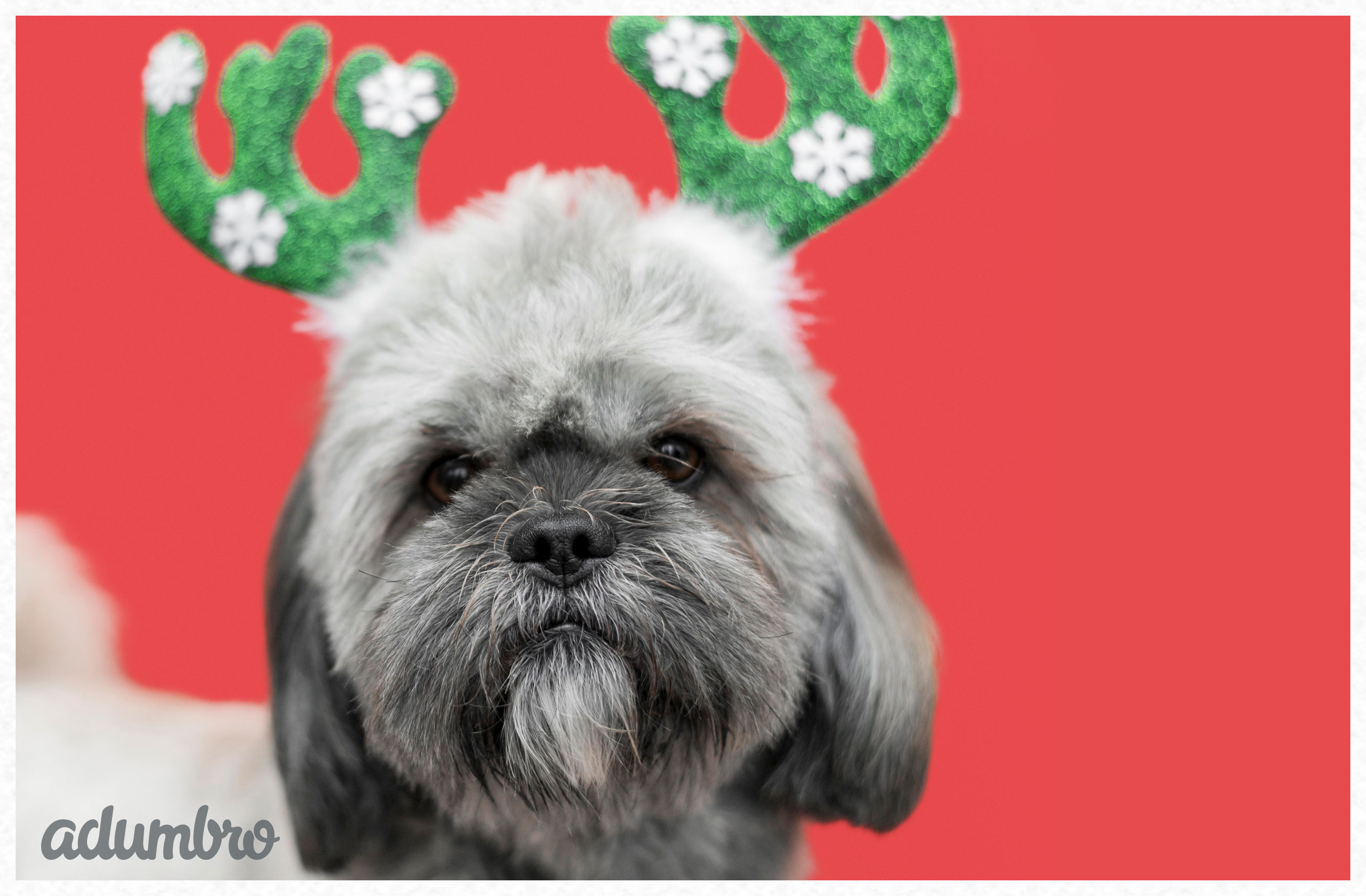 Felicitación de Navidad