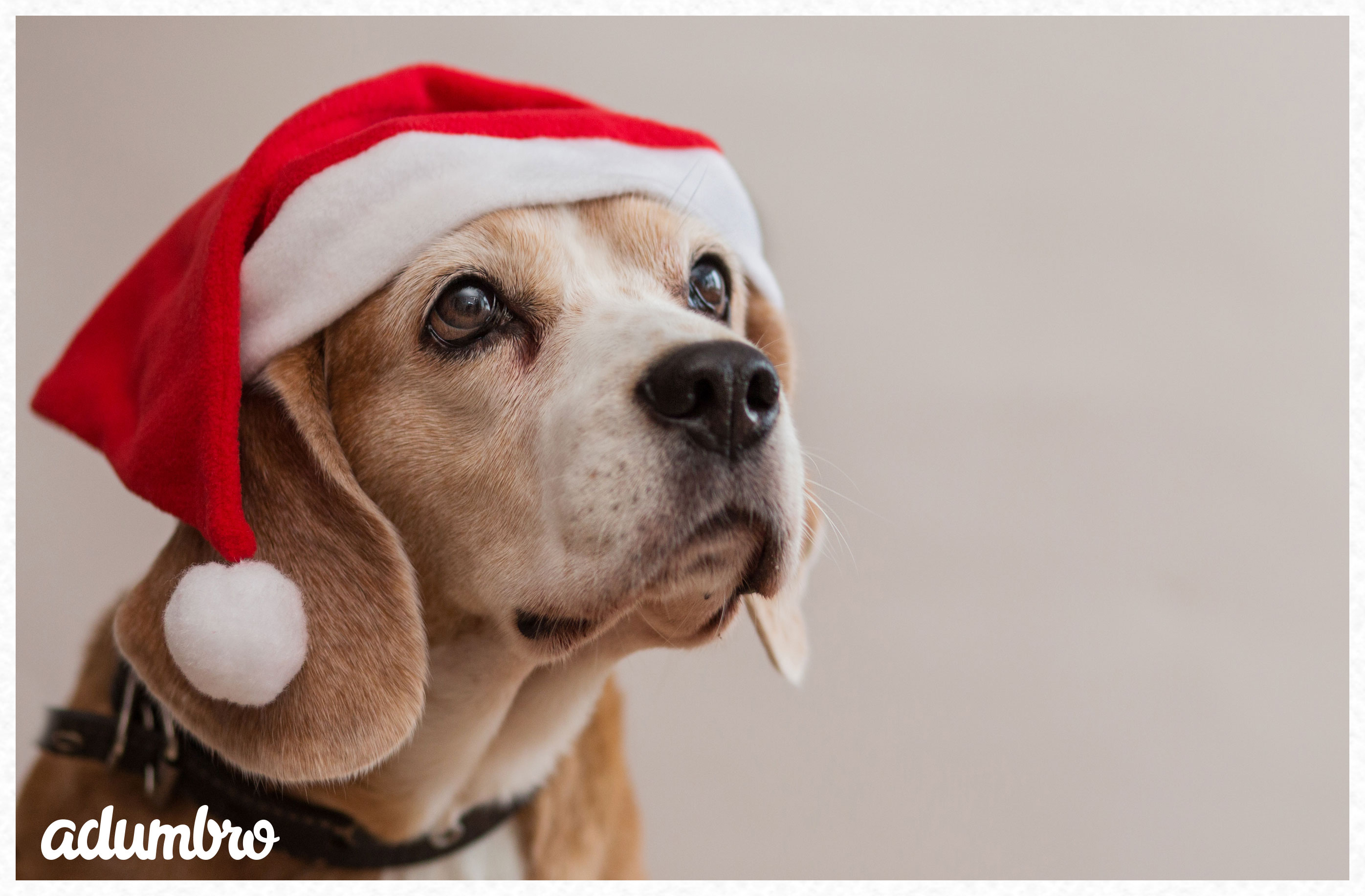 Felicitación de Navidad