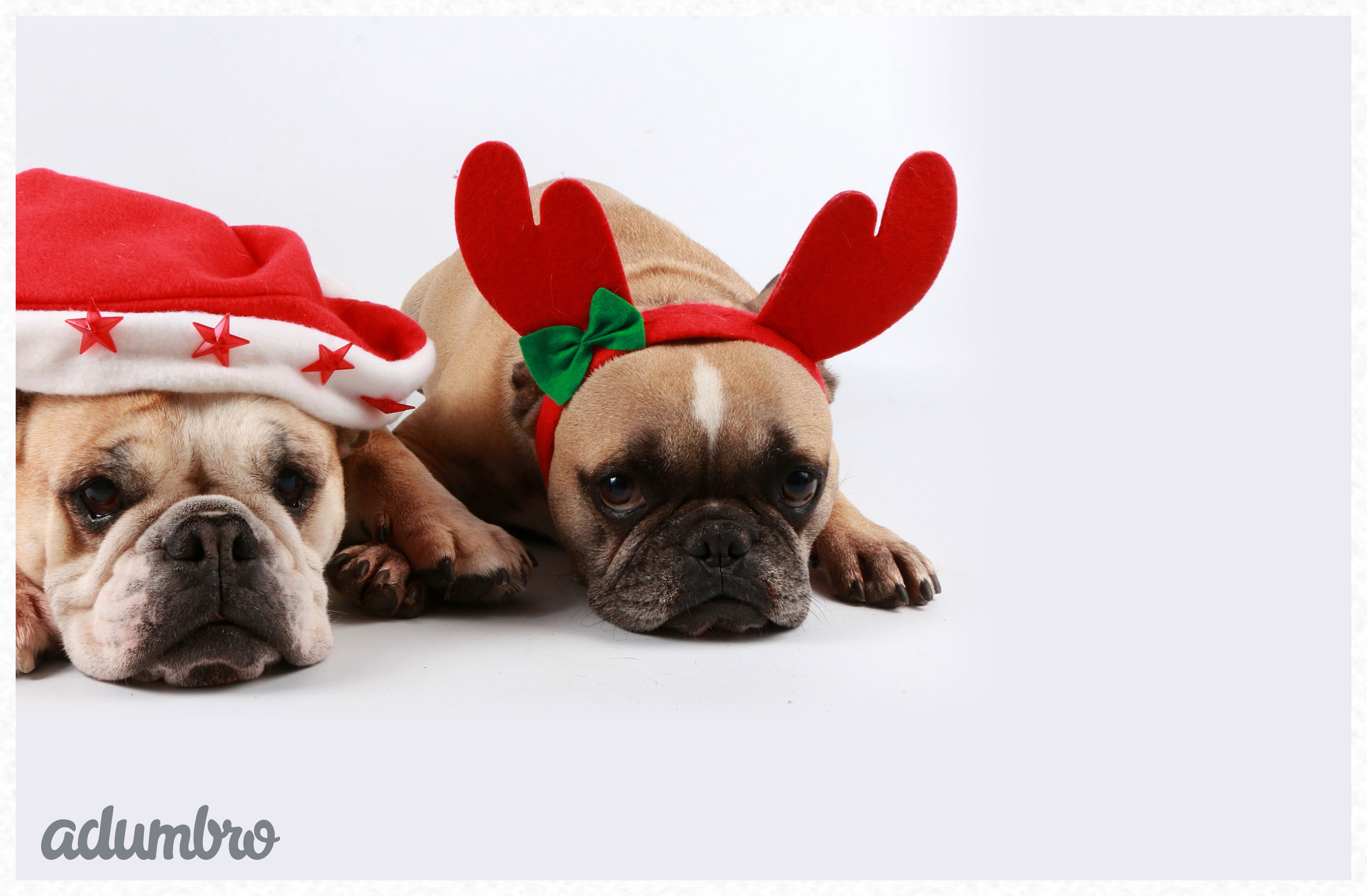 Felicitación de Navidad